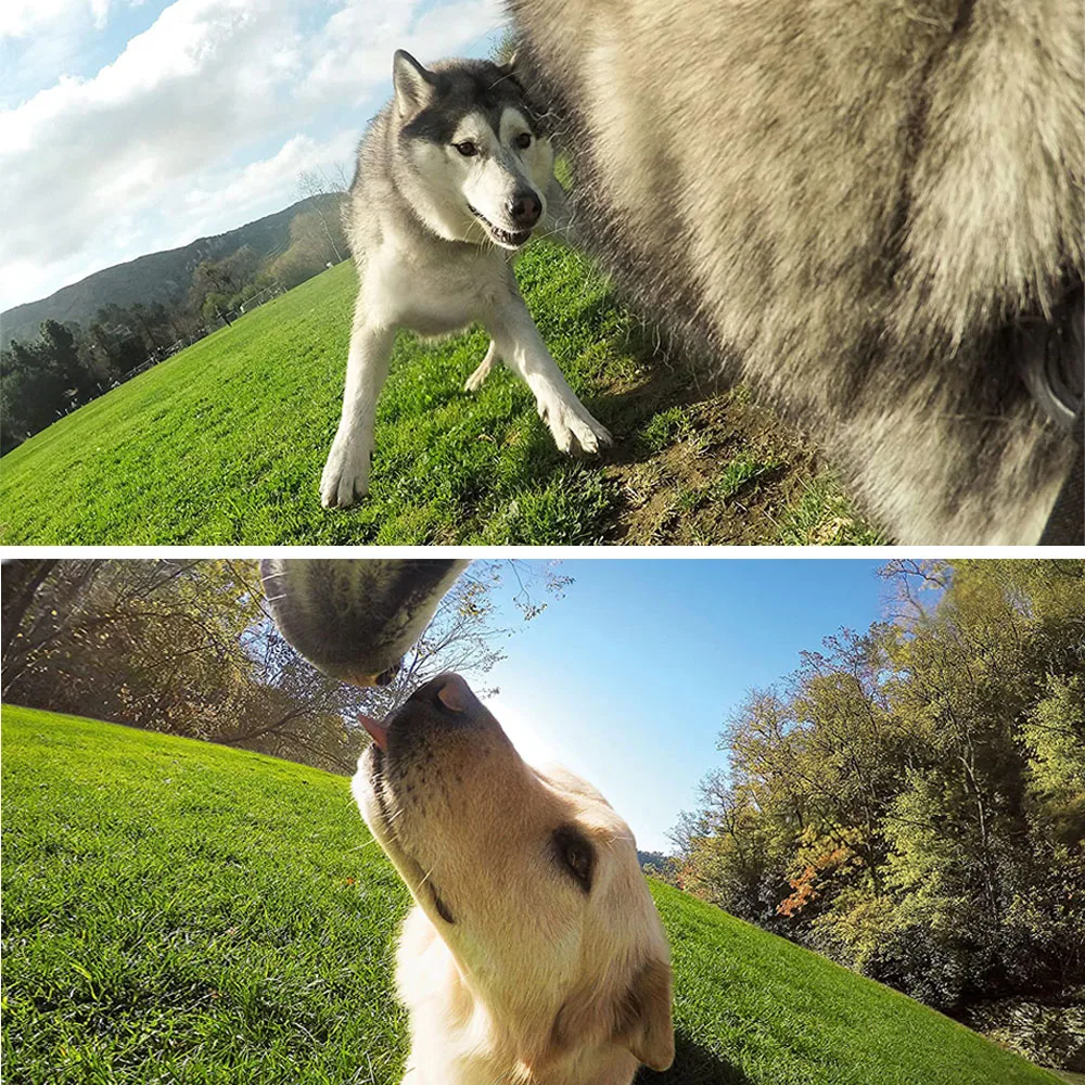 Нагрудный ремень для экшн-камеры GoPro Hero 8 7 5 Session SJCAM SJ4000 Yi 4K H9 DJI Insta360 | Электроника