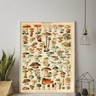 Растительный образовательный постер с принтом грибов, ВИНТАЖНЫЙ ПЛАКАТ с грибками, художественная картина, художественное украшение для коридора, гостиной