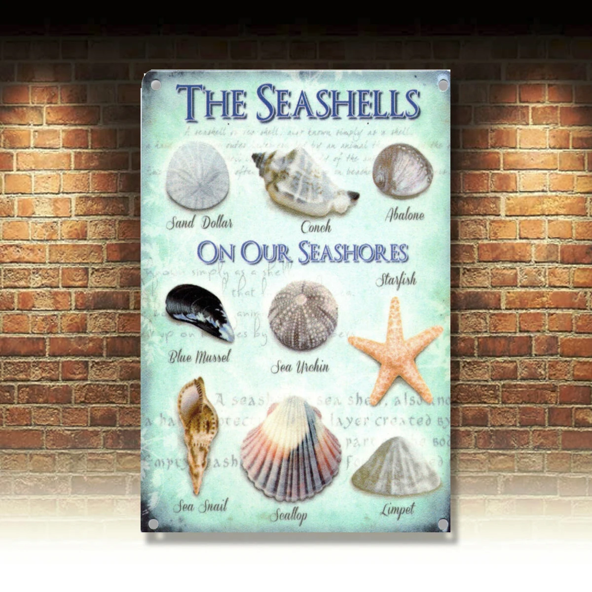 

Seashells Seaside Collection House Kitchen Bathroom Beach Small Metal Tin Sign