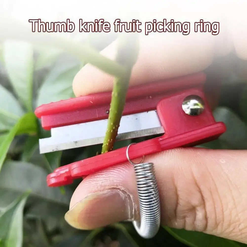 

Vegetable Thump Knife Separator Vegetable Fruit Harvesting Picking Tool For Farm Orchard
