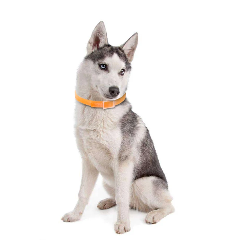 Водонепроницаемый ошейник для собак и кошек блох защиты от вредителей маленьких