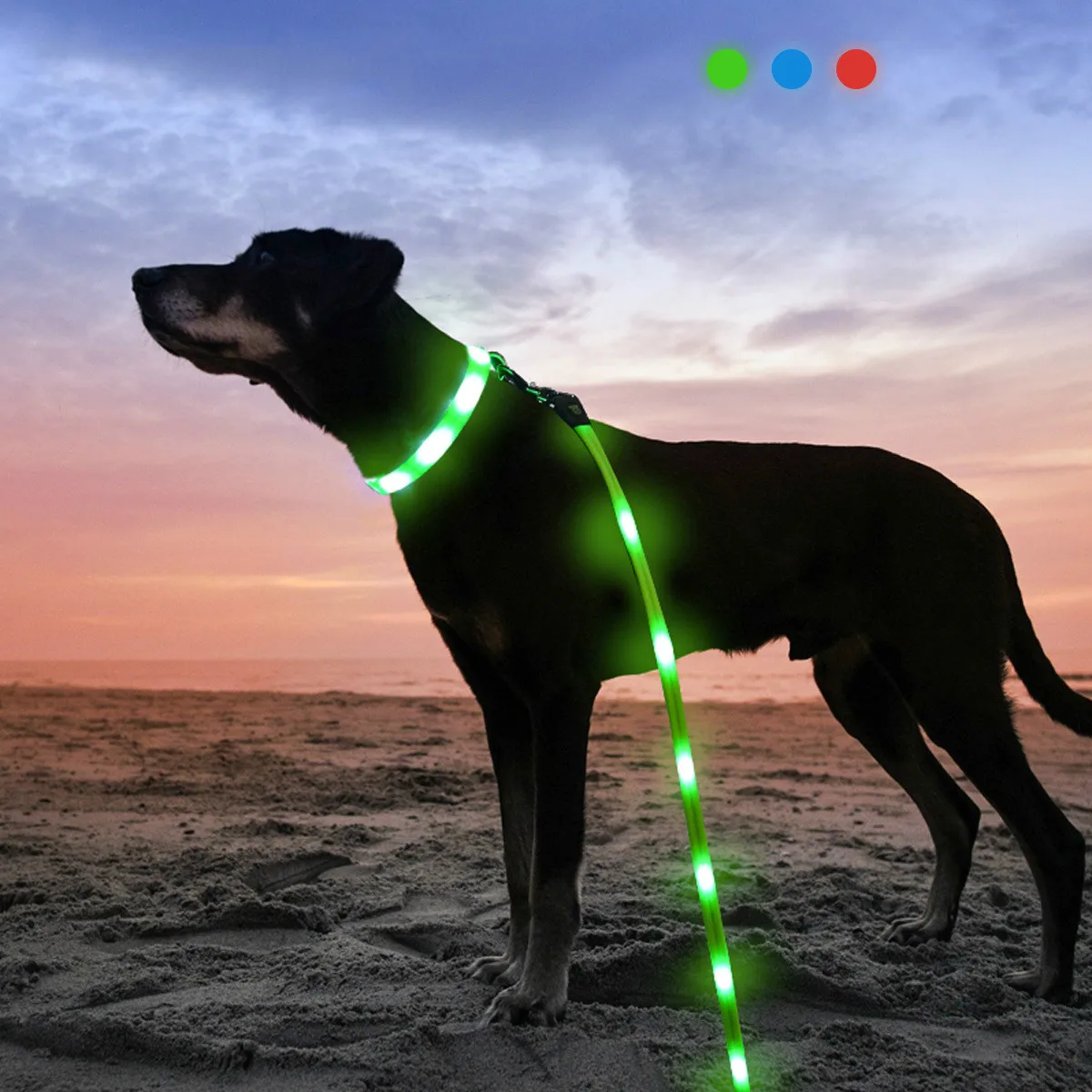 

Pet luminous traction rope collar USB charging led dog walking collar traction rope