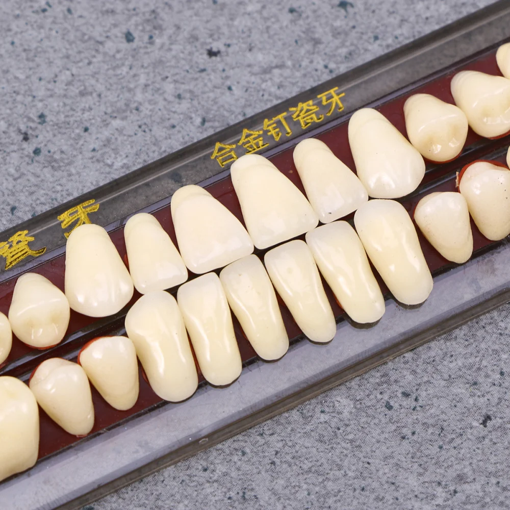 

1 Box Porcelain Tooth Oral Material Color Shade Guide Teeth Accessories (Second Grade 22#)