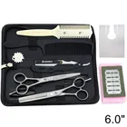 Профессиональные ножницы для стрижки волос, Японские Стальные дешевые парикмахерские, салонные инструменты, 6 дюймов