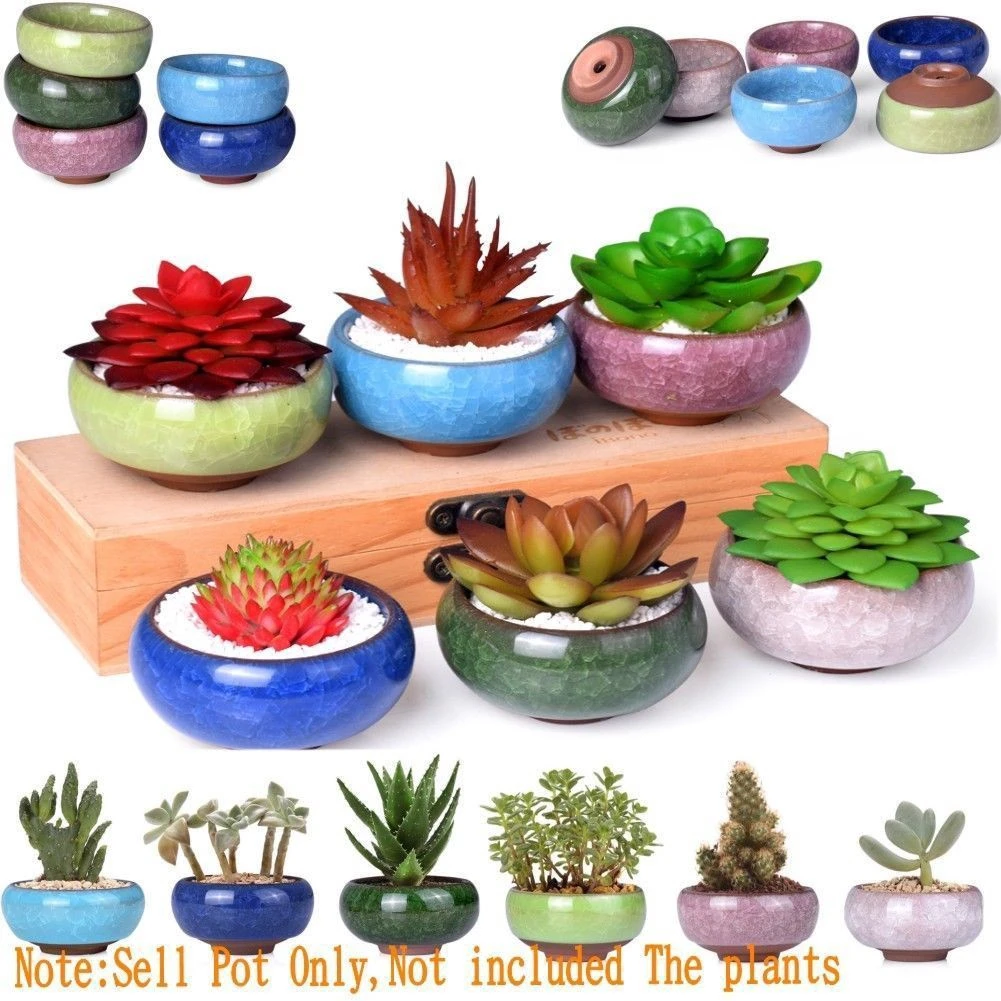 

1pcs Ice Cracked Glaze Flower Ceramic Succulent Flower Pot Mini Flower Pot Succulent Flower Pot Home Decoration Flower Pot