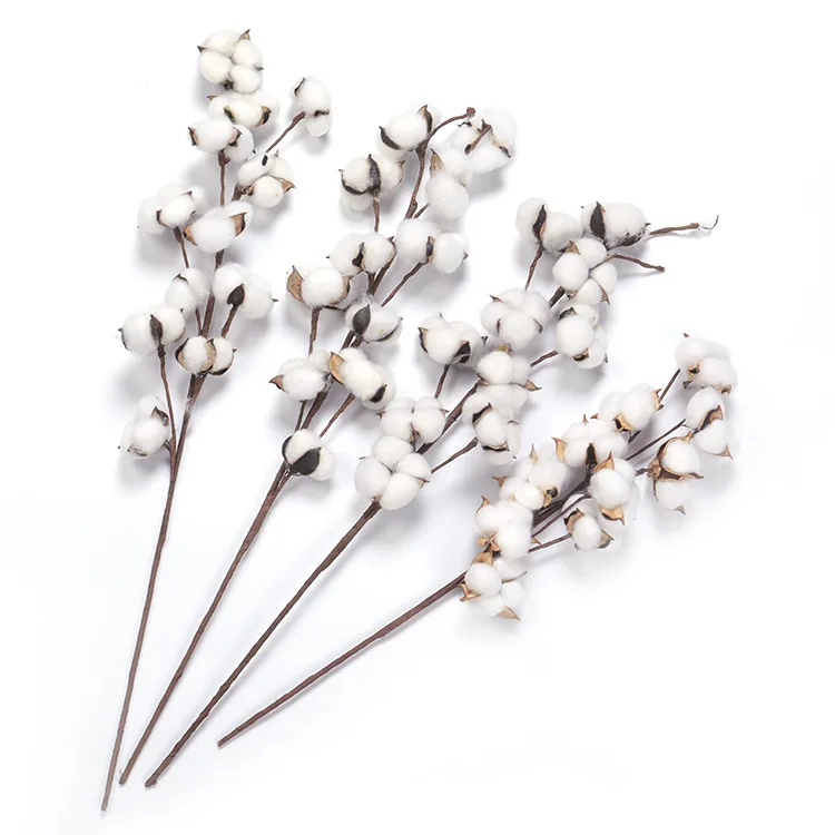 Сушенный цветочный букет из хлопка пяти лепестков Полная Имитация хлопок