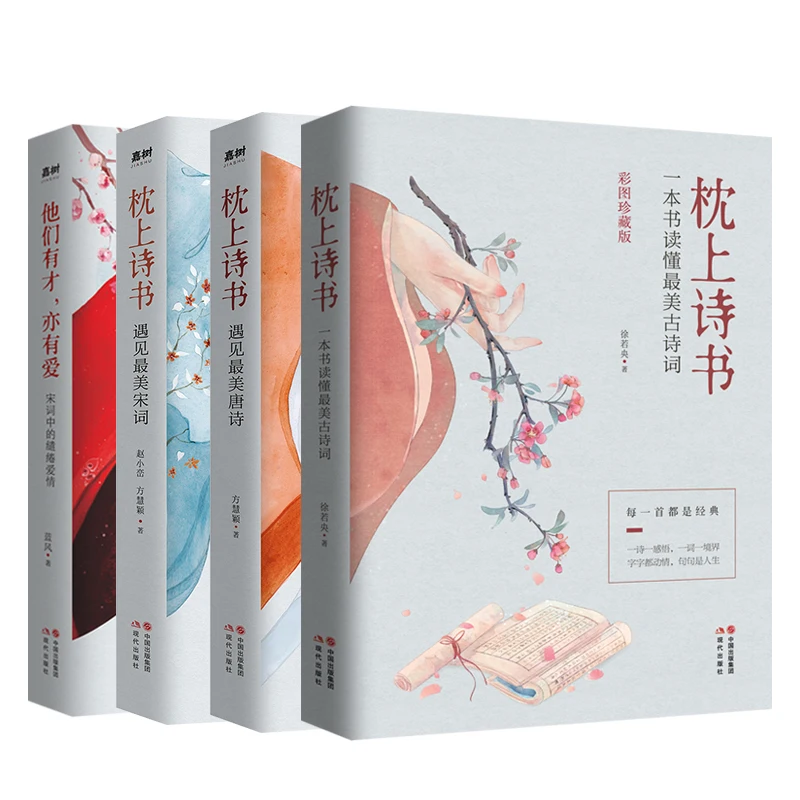 

New 4pcs/set Pillow Book of Poetry Song Ci Tang Poetry Talent and love Literary Fiction libros