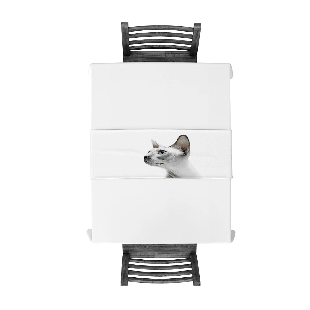 Безволосая кошка милый вид Настольная дорожка кухонный декор стол с флагом