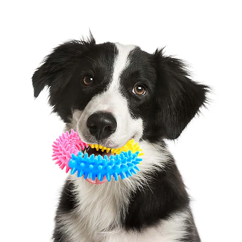 Зубная щетка для кошек и собак|Игрушки собак| |