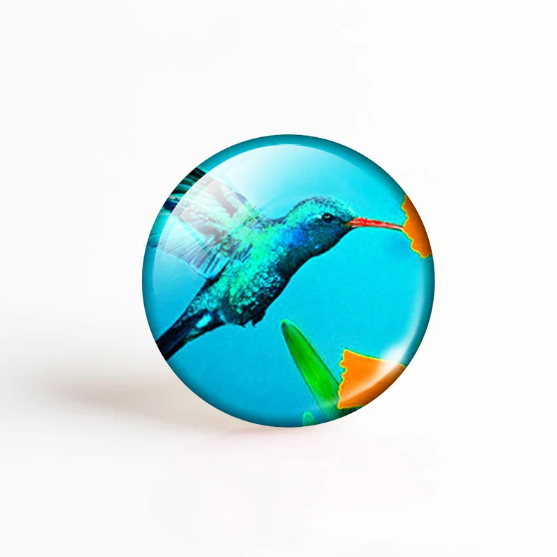 5 шт./лот вороны кардиналы Колибри Сделай Сам круглые стеклянные кабошоны ручной