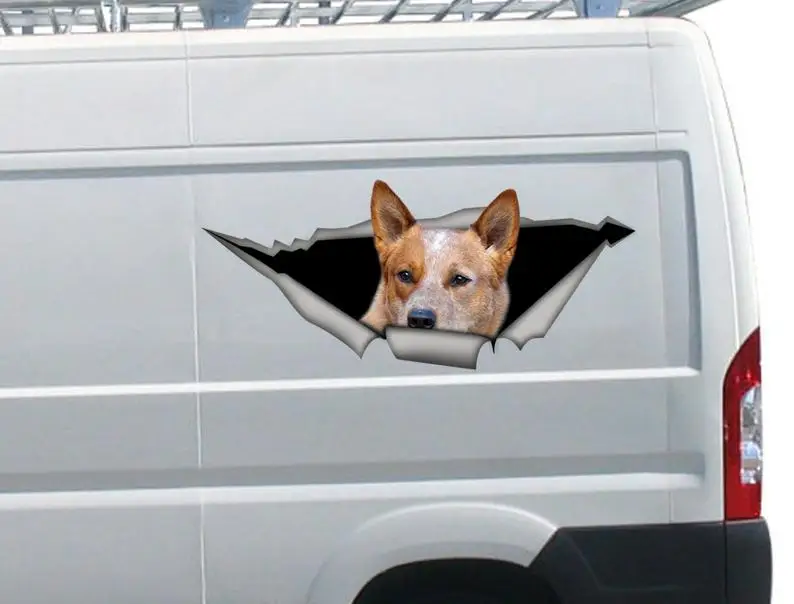 

2021 Red Heeler car decal, Vinyl decal, car decoration, Red Heeler sticker