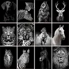 GATYZTORY, черно-белое животное, сделай сам, живопись по номерам, ручная роспись, масляная живопись для взрослых, время убить, домашний декор, аксессуары