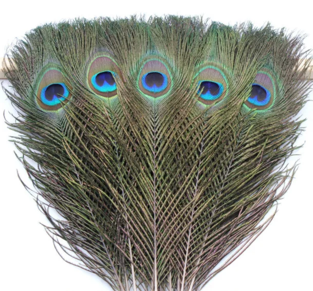 10 шт./лот натуральные перья павлина 25 50 см ювелирные изделия для карнавала серьги