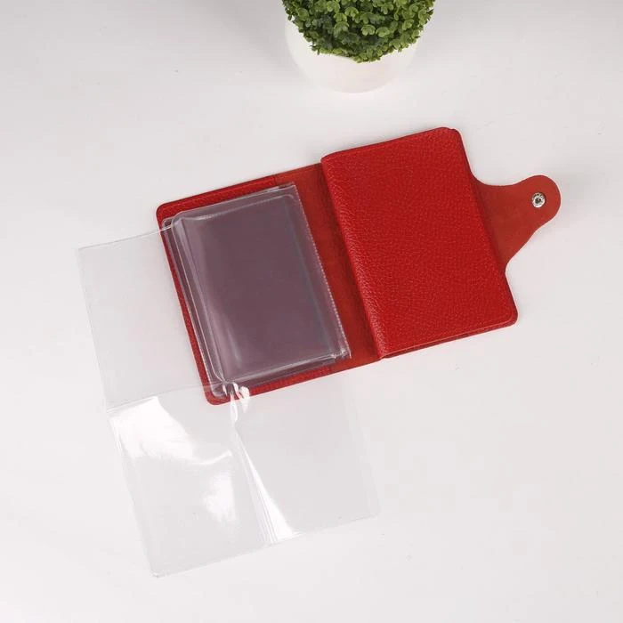 Рисунок 4 - Обложка для автодокументов и паспорта