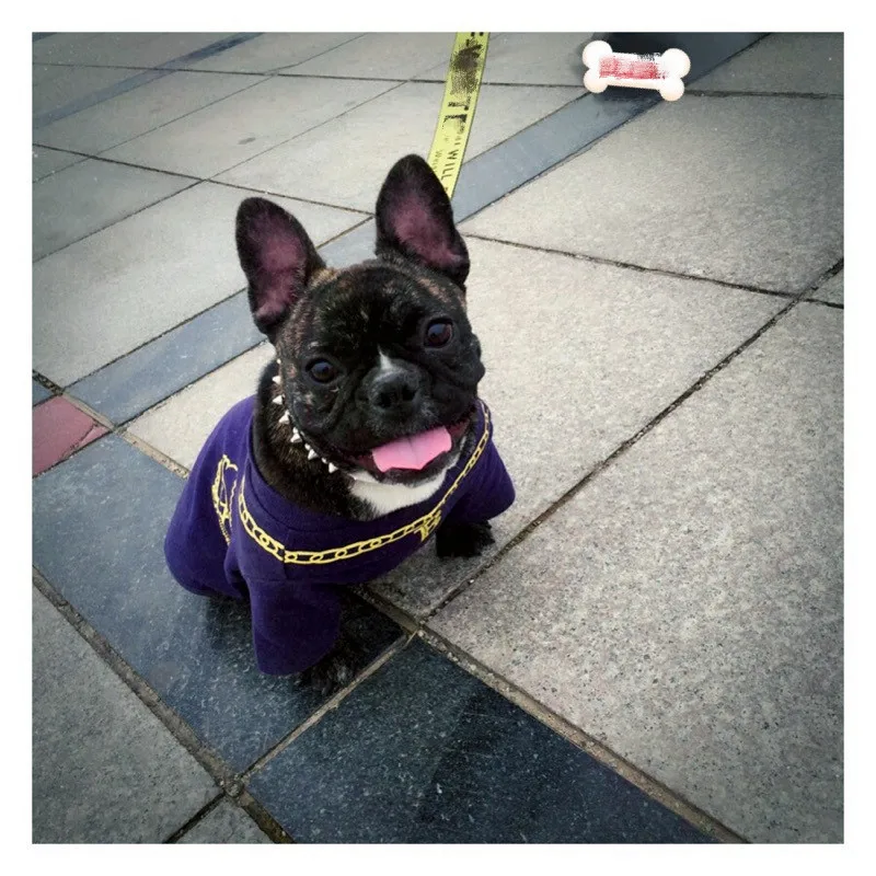

New Dog Harness Leash Set Off Puppy Collar For Fat Small Dog Cat Nylon Leads Fashion Rope For Pet Dog Harness Pet Seat Belts