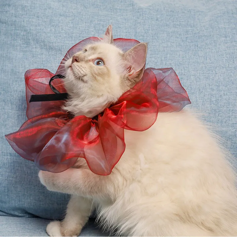 Хэллоуин шарф для домашних животных собак и кошек Рождество одеваются мечта