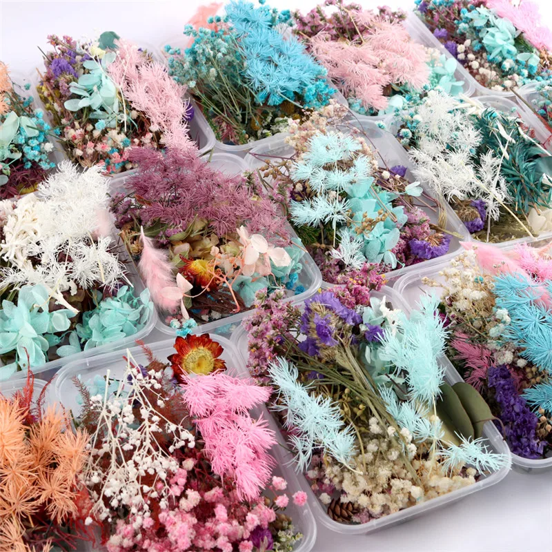

1 Box Real Dried Flower Dry Plants For Aromatherapy Candle Epoxy Resin Pendant Frame Floating Bottle Making Craft DIY Accessorie