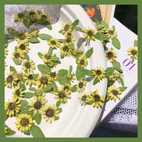 60pcs pressed dried mini 1 2cm sunflower flowers plant herbarium for jewelry postcard invitation card phone case bookmark diy