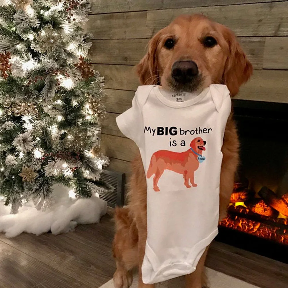 Под заказ мой старший брат это золотой ретривер детский комбинезон блестящая