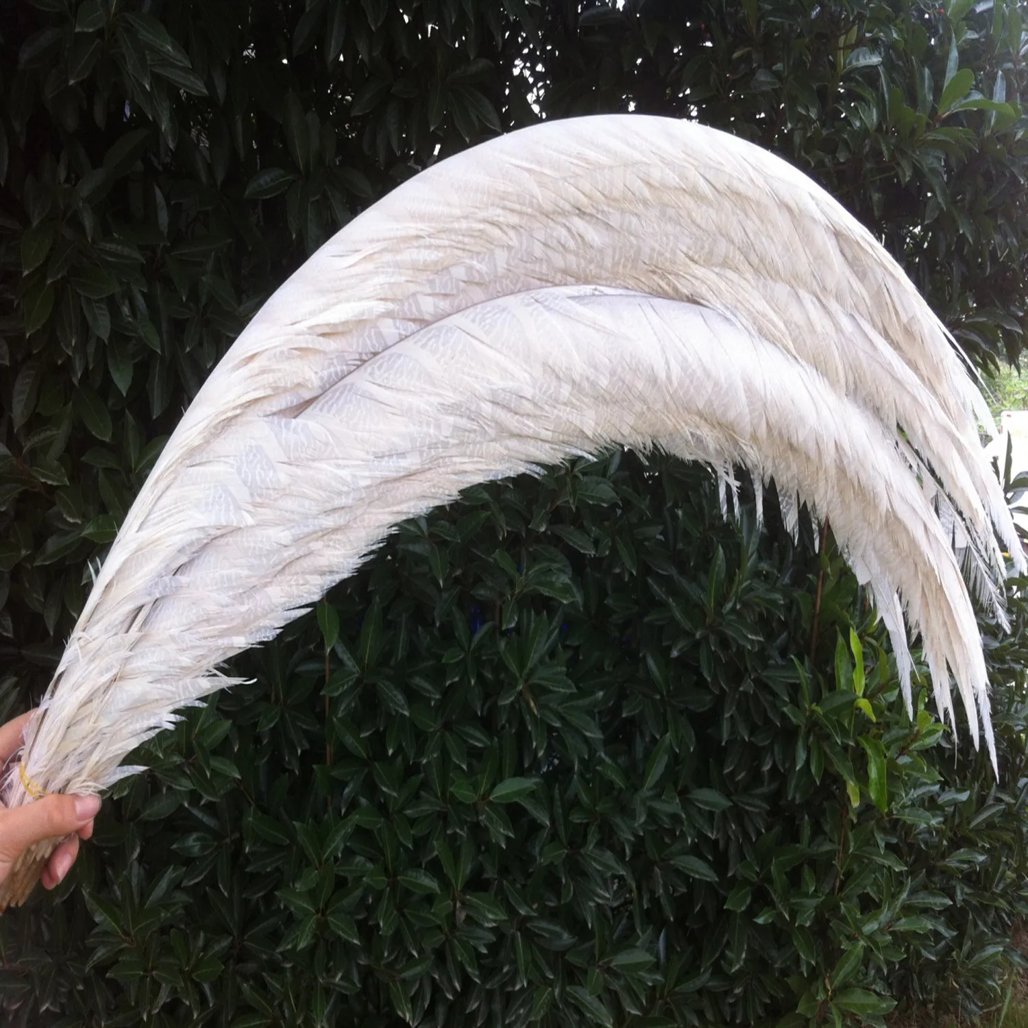 длинные перья. перья в волосы.