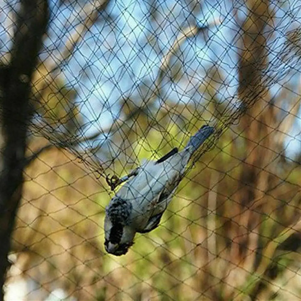 Рыболовная сеть с защитой от птиц | Дом и сад