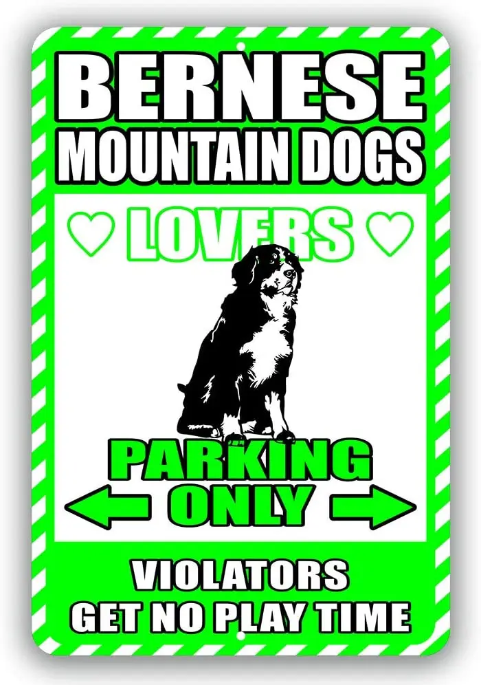 

Bernese Mountain Dogs Lovers Parking Only Violators Get No Play Time Novelty Tin Sign Indoor and Outdoor use 8"x12" or 12"x18"