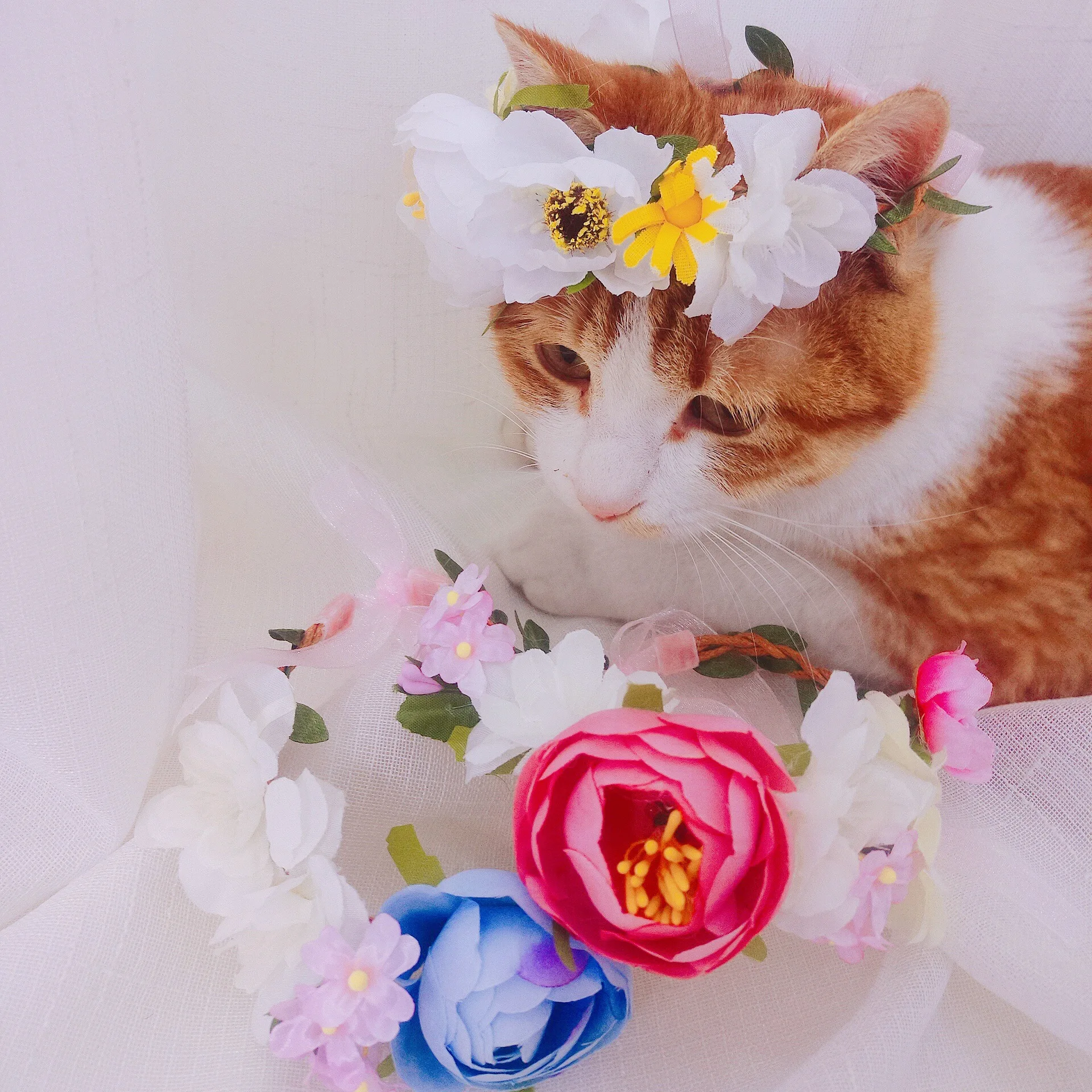 

Pet Cat Dog Scarf Floral Straw Rattan Kitten Necklace Flower Pretty Kitten Neck Decor Pets Products