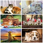 EverShine картины по номерам собаки раскраски по номерам набор для рисования на холсте декор для дома
