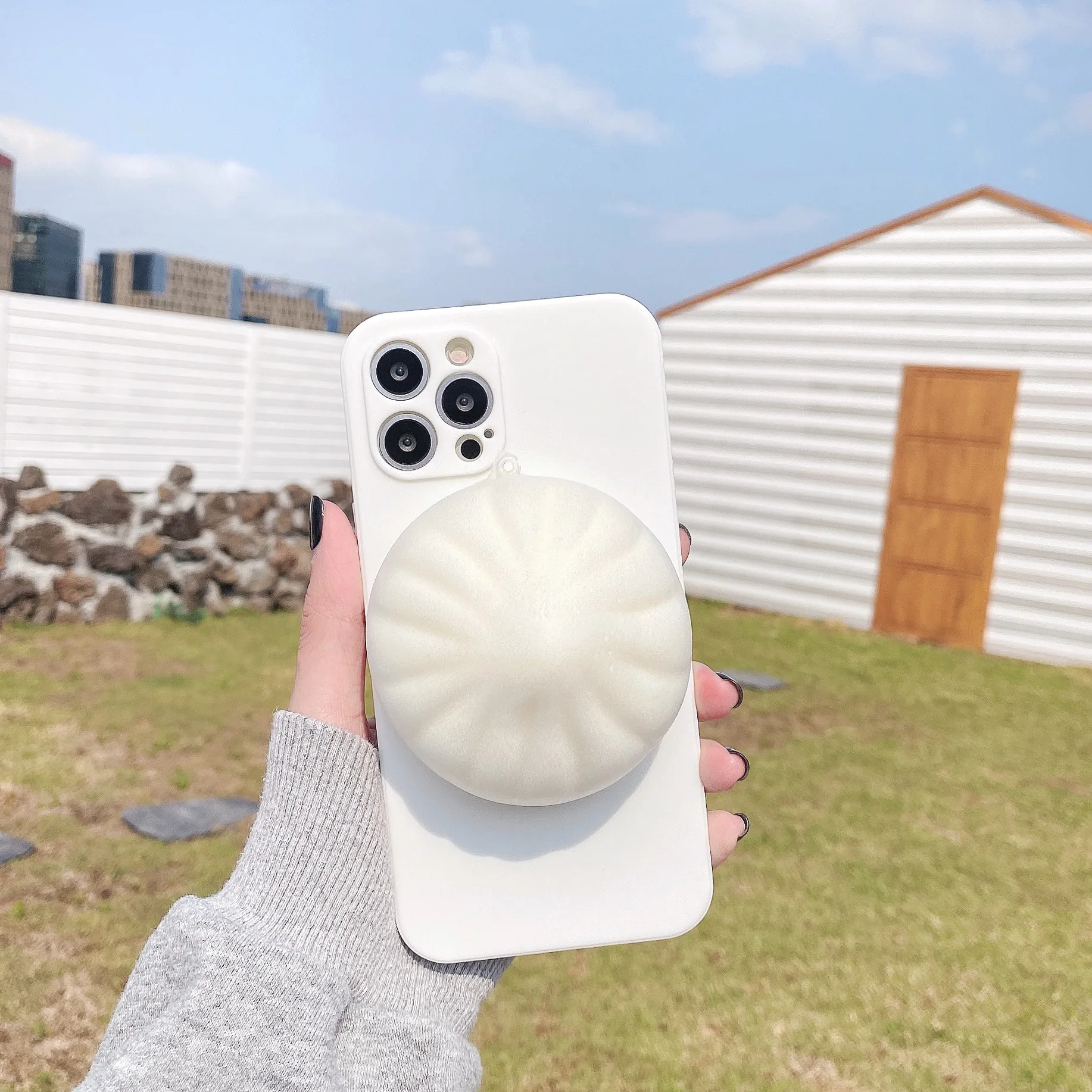 

2021 phone bag case for iphone 7/8plus iphone 11/12 pro max case iphone X/XS MAX fitted cases simpl dimmer