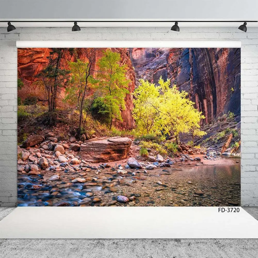 Фон для фотосъемки с изображением пейзажа леса моделей рекламы live детей |