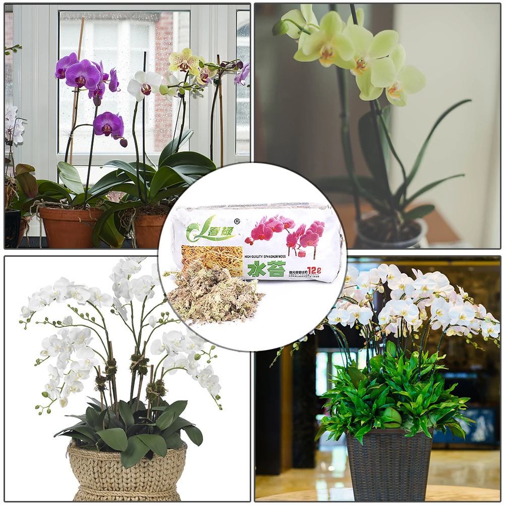 12л вентиляция долгое время Sphagnum запасы мха увлажняющее питание удобрение