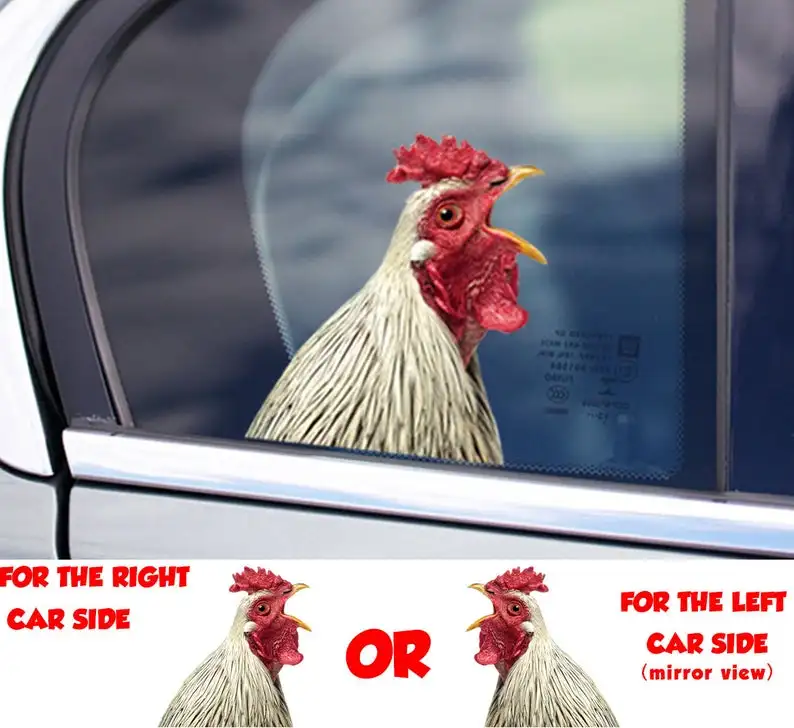 

STICKER, chicken window sticker, car sticker, chicken car decal, funny sticker
