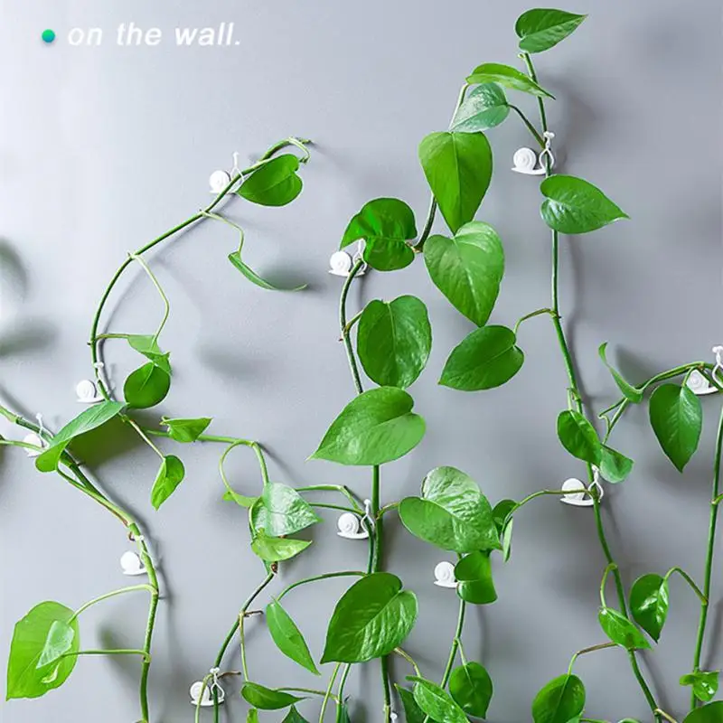 

Фиксирующий Зажим для растений, настенный самоклеящийся зажим для альпинизма, фиксирующий крючок для сада, растений, стен, альпинизма, вино...