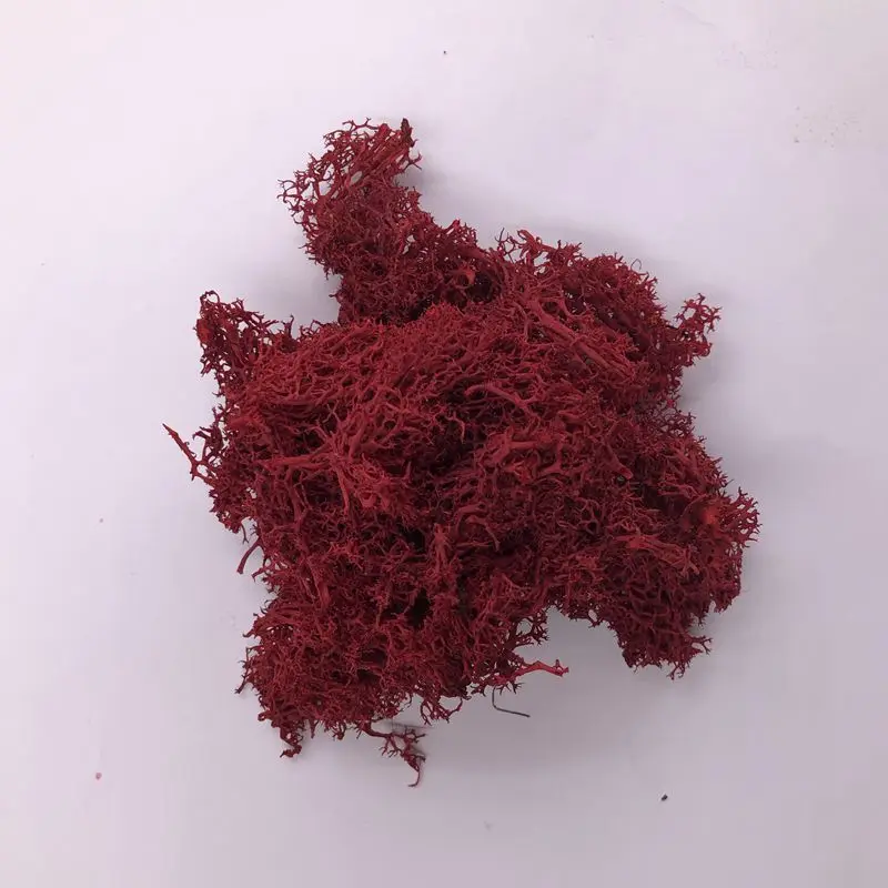 10 г/лот декоративные сфагны мхи сухой Натуральный Свежий мох, настоящая вечная сушеная трава, DIY декоративные вечные Цветы Аксессуары - Цвет: Wine Red