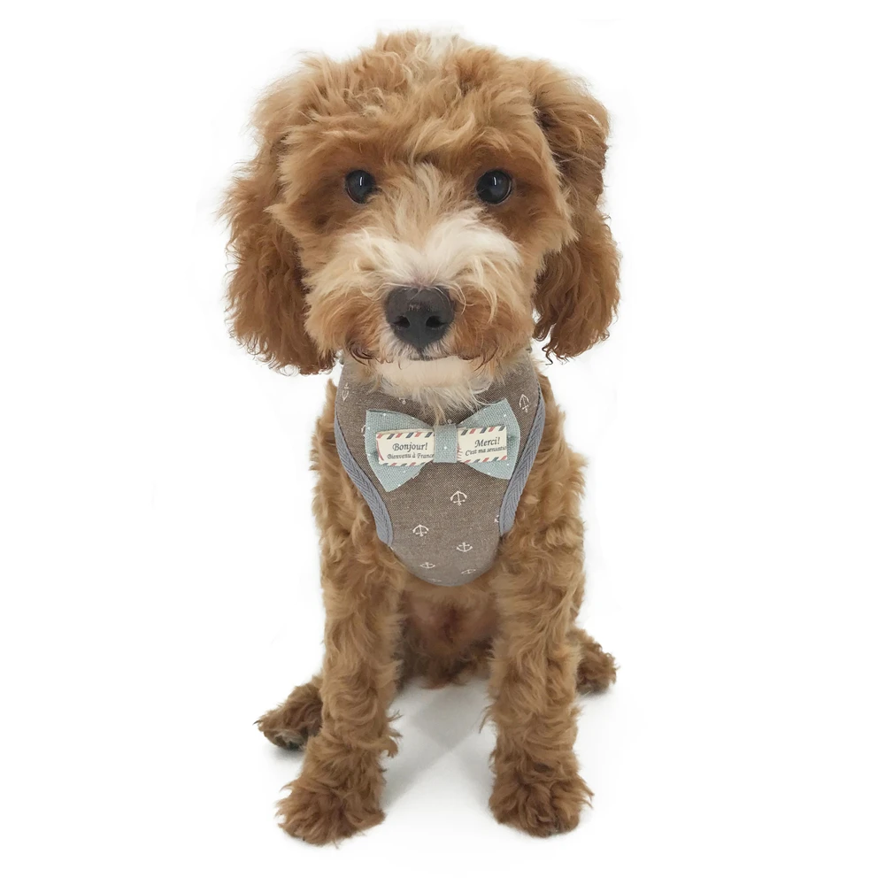 Ошейник для собак с поводком маленьких Meduim одежда домашних животных воротник