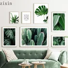 Настенная картина из натурального кактуса с зеленым растением, листьями монстеры, КАКТУСОМ, скандинавские плакаты и принты для декора гостиной, настенные картины