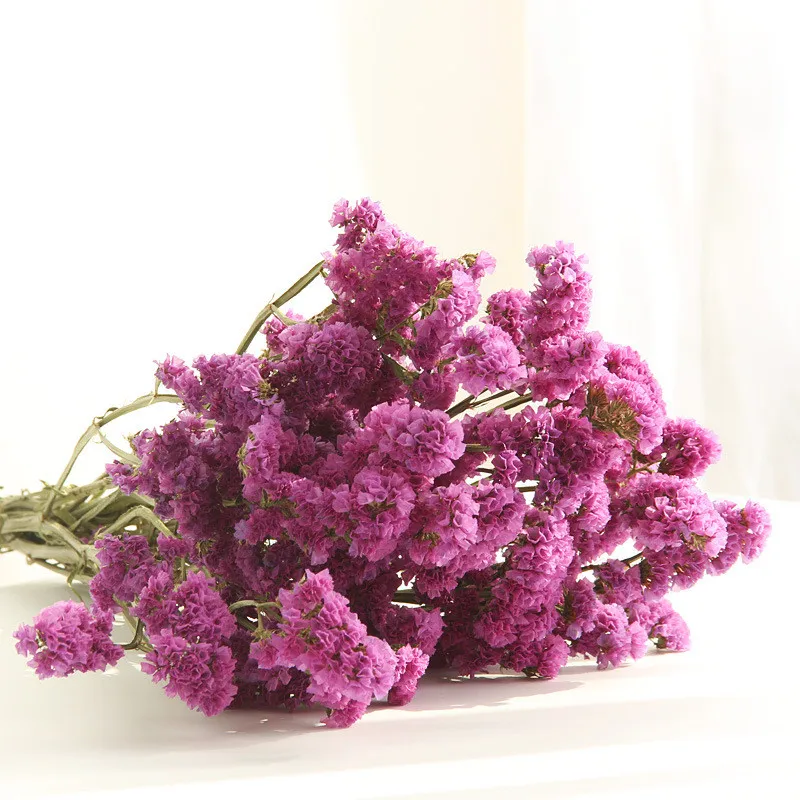 10 шт. консервированные свежего сушенного забывчивых цветами филиалом украшение