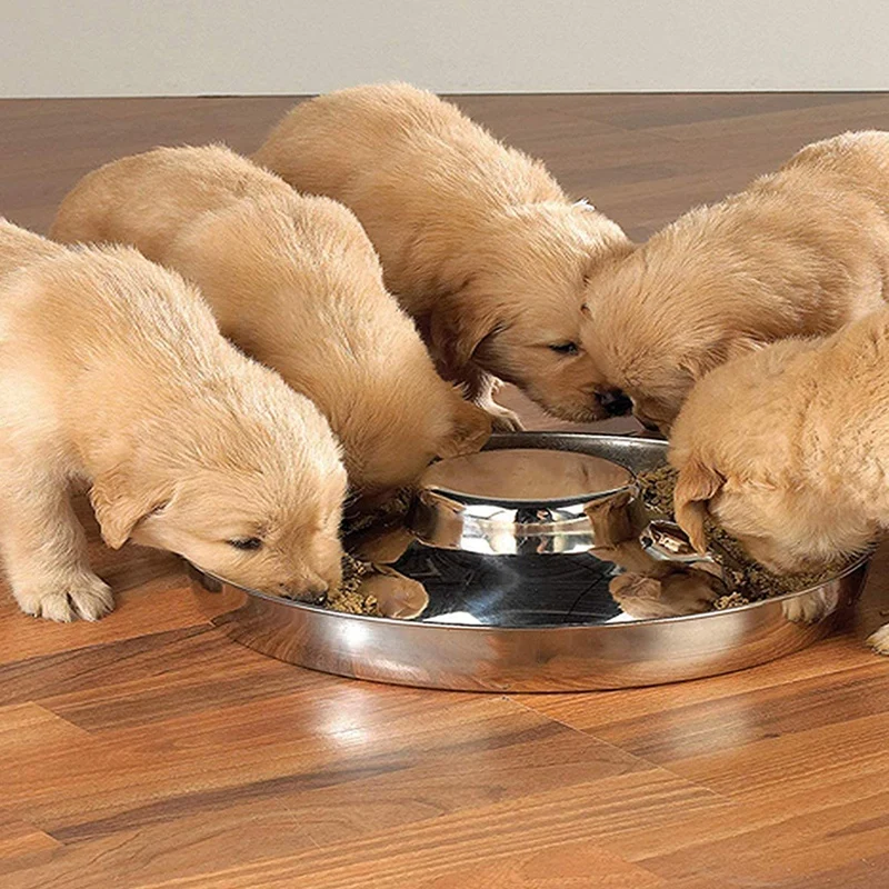 

3-Piece Stainless Steel Dog Bowl 29 Cm-Suitable for Small/Medium/Large Dogs, Pet Feeder Bowls and Water Bowls