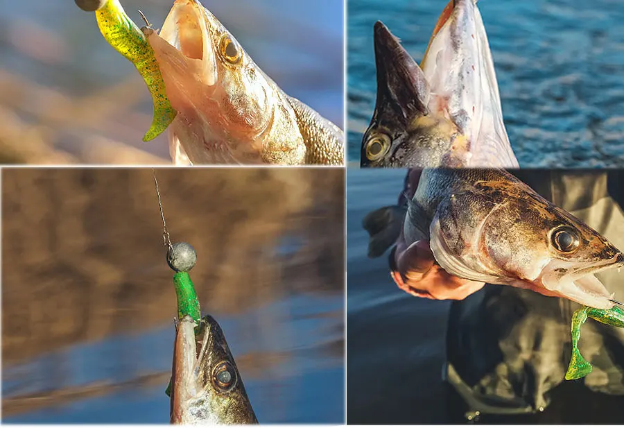 10 PSC/Lot New High Quality 1.5g/2g/3.5g/5g/7g/10g/14g/16g Lead Head Hook Jig Bait Fishing Hooks For Soft Lure Fishing Tackle