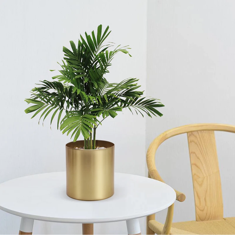 Креативные Круглые золотистые железные цветочные горшки в скандинавском стиле