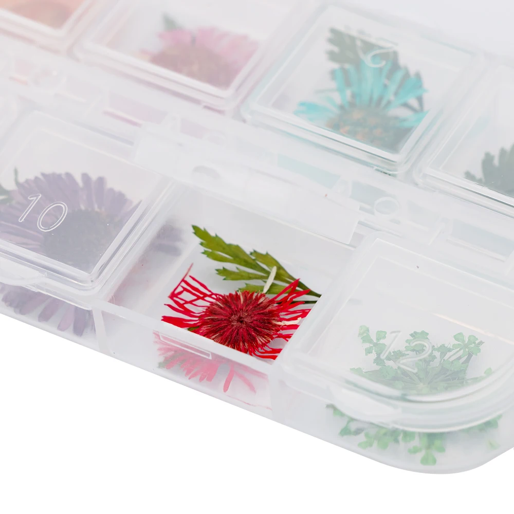 12 цветов в ассортименте натуральные высушенные цветы хризантема искусство DIY