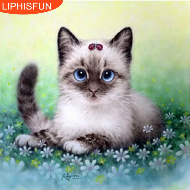 5D полный дрель DIY Алмаз Картина мозаика ручной работы кота смолы вышивки крестом