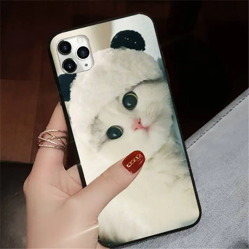 

cat Funny cute animals Phone Case for iPhone 11 12 pro XS MAX 8 7 6 6S Plus X 5S SE 2020 XR