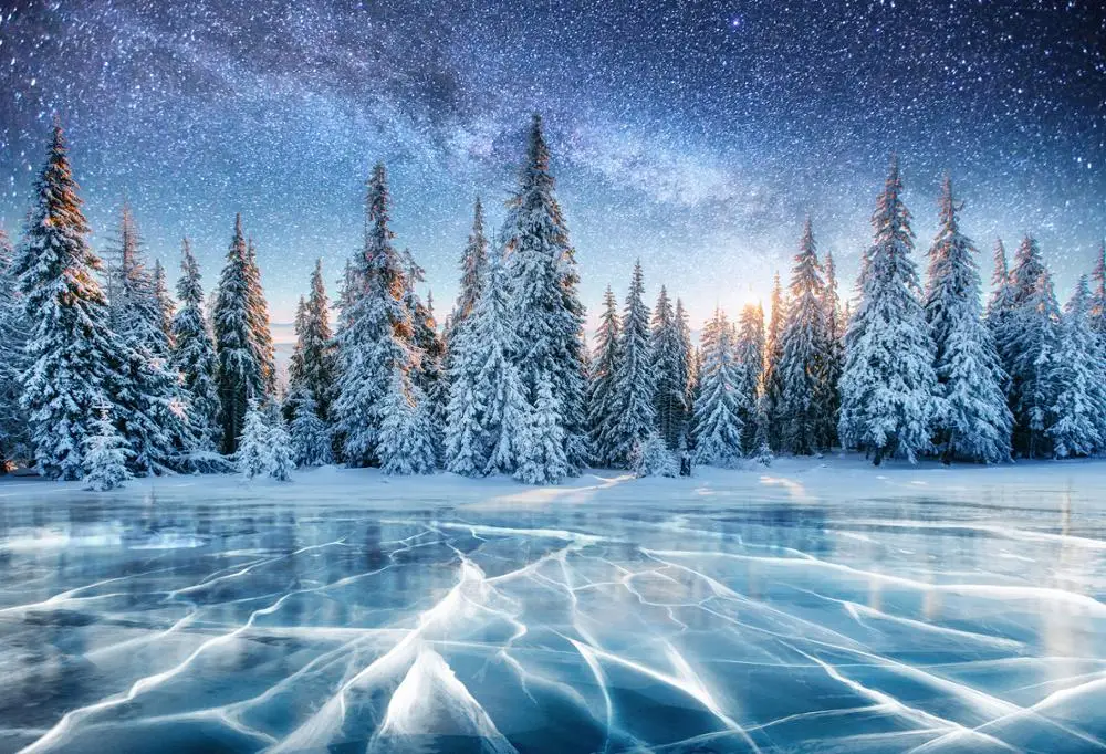 VinylBDS Winter Backdrops For Photography Snow Tree Christmas Frozen Ice Backgrounds Photo Studio | Электроника