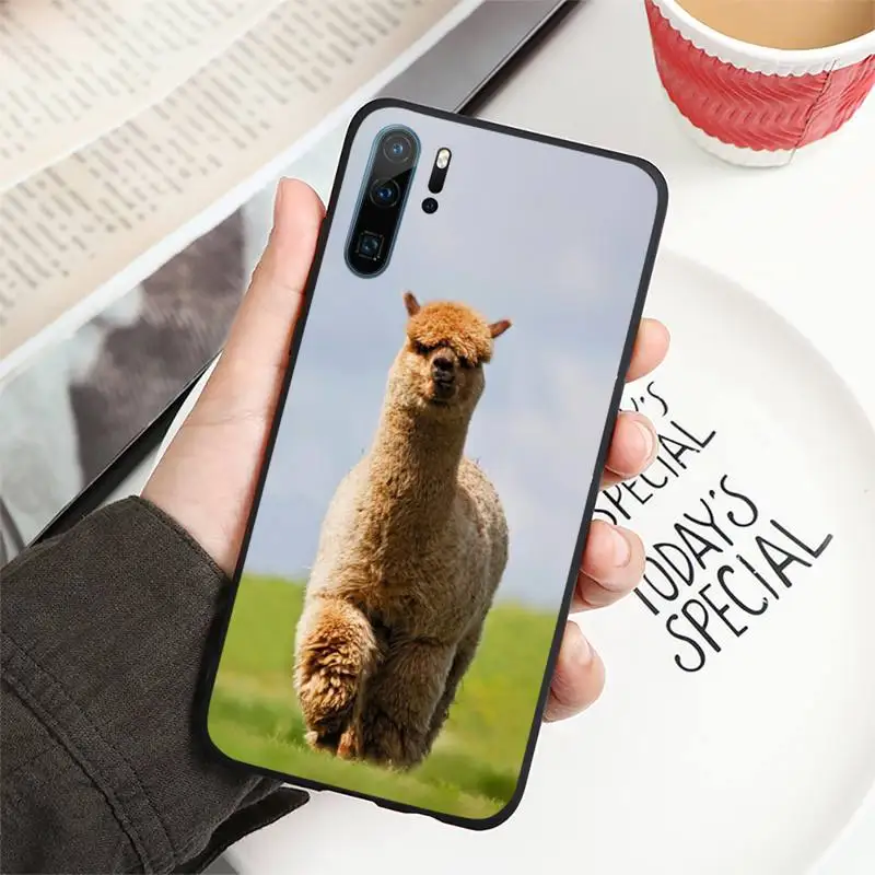 

Lama Llama Alpacas Animal Phone Case For Huawei honor Mate P 10 20 30 40 i 9 8 pro x Lite smart 2019 nova 5t