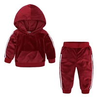 autumn winter baby clothes set boys girls velour tracksuit outfits hooded sweatshirt tops sweatpants toddler sports clothing set