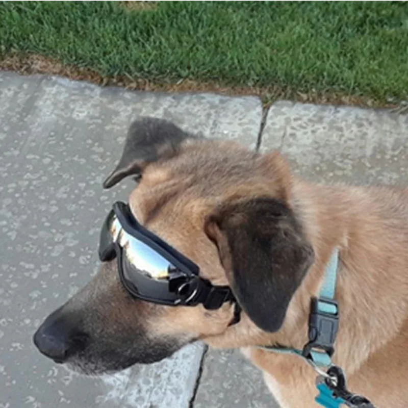 

Summer Pet Sunglasses Waterproof Windproof Sunscreen UV Protection Goggles