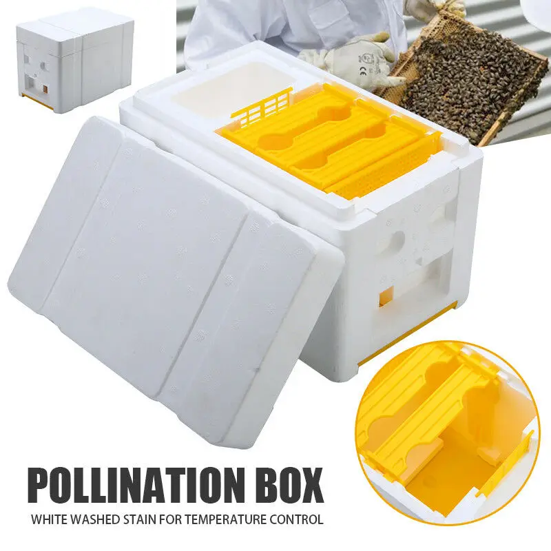 Пчелиный улей Пчеловодство королевская коробка Pollination Box пены рамки инструмент