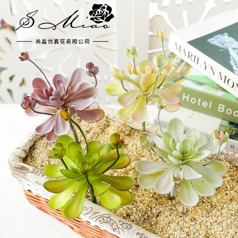 

Succulent plant with bud Baolian flower plastic plant Yiwu Huazhi