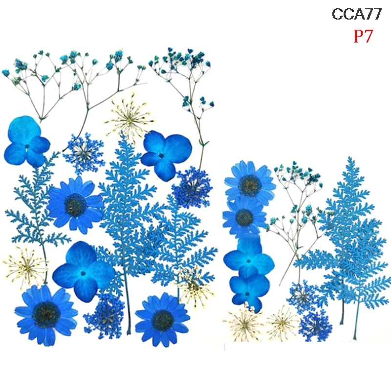 

Pressed Flowers Small Dried Flowers Scrapbooking DIY Preserved Flower Decor